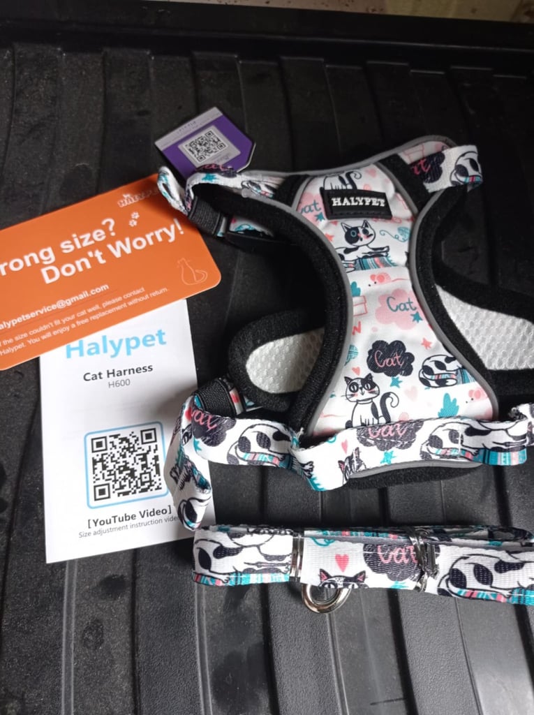 image for Cat bundle.   £10.  Brand new. Original packaging. 