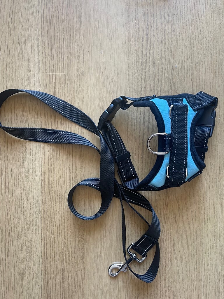 No Pull Dog Harness Free Leash Included (Size - XS) LightBlue