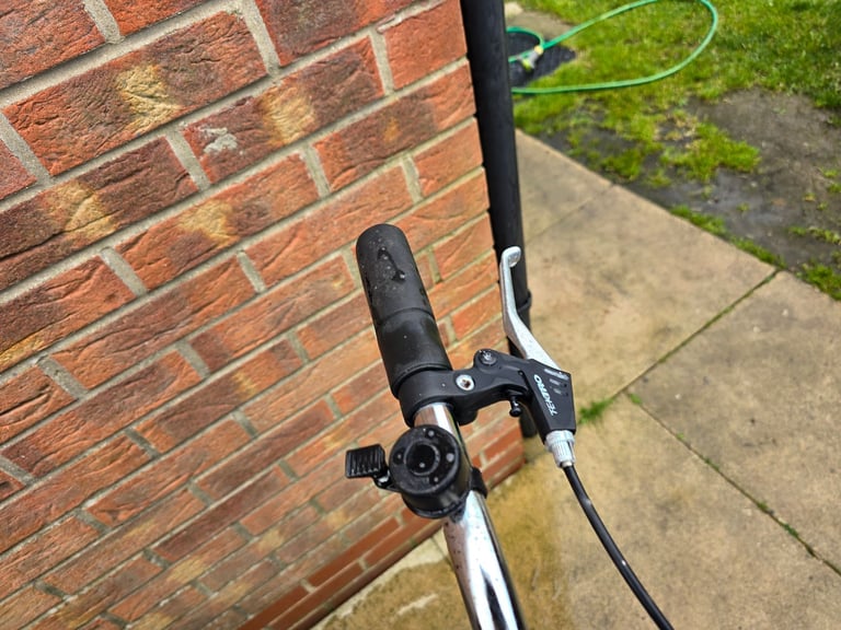 Hybrid bike 