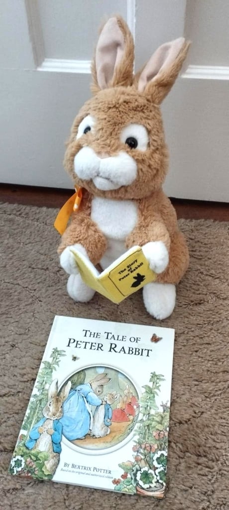 image for The Tale of Peter Rabbit - Beatrix Potter - book and toy - children's aged 3-5