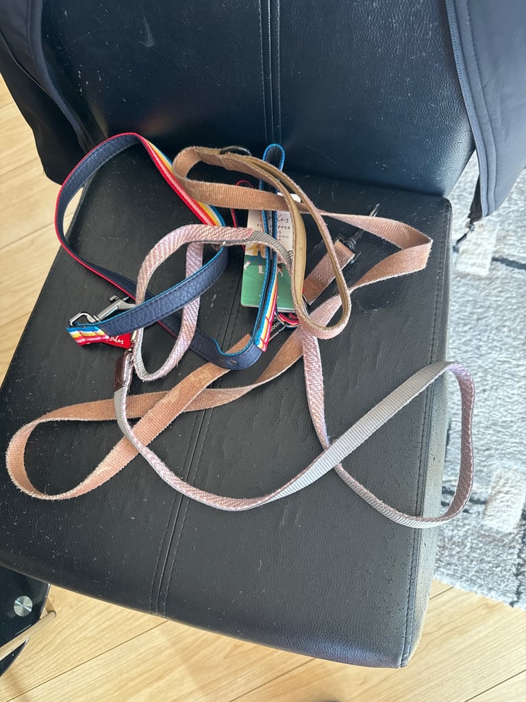 Dog Leads