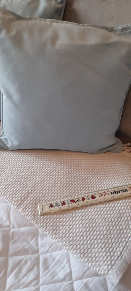 image for Next Blue velvet cushions