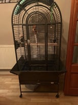 Parrot cage 