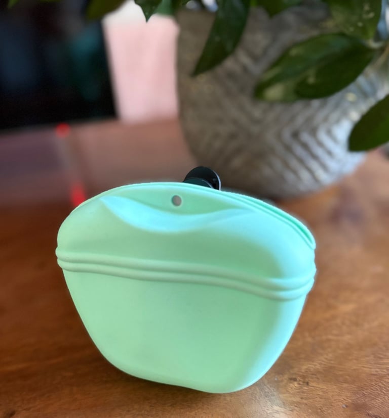 Green Silicone Dogs Treat Pouch