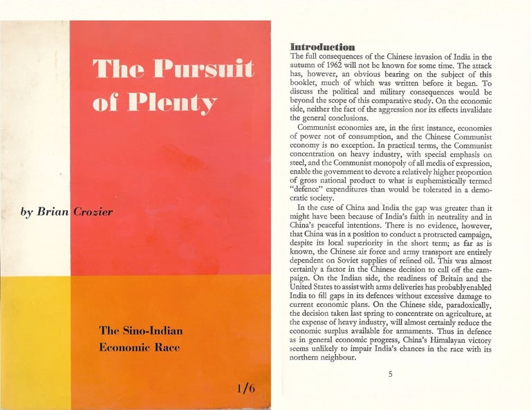 CHINA AND INDIA THE PURSUIT OF PLENTY: THE CHINESE-INDIAN ECONOMIC RACE