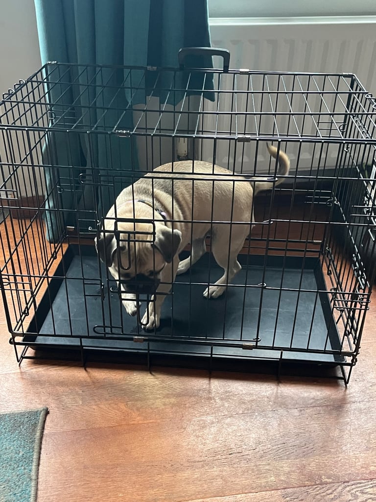 Medium size Dog cage