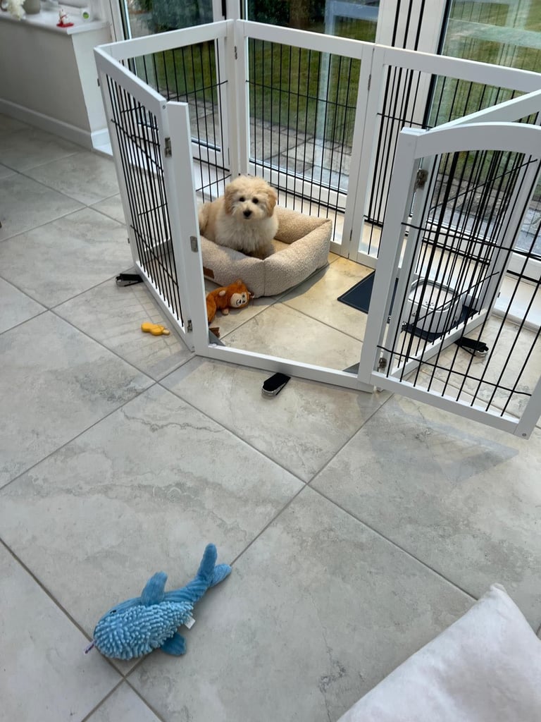 White Wood Puppy Pen - Lords & Labs Brand