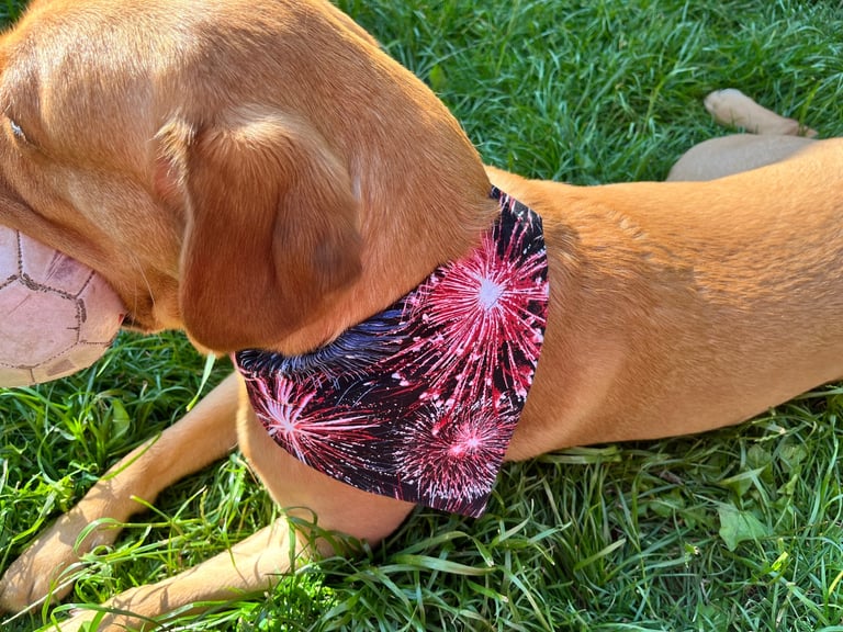 Over 150 dog bandanas