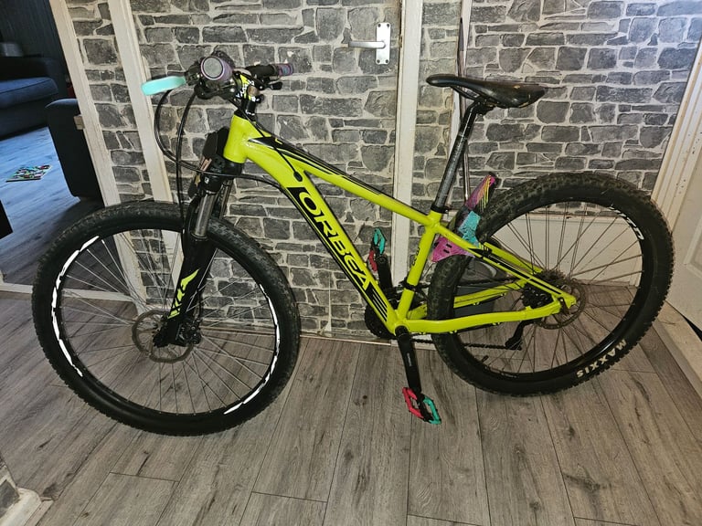 Orbea mountain bike