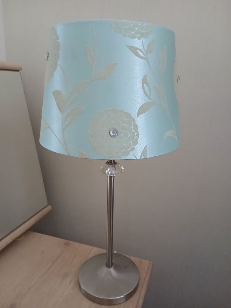 Lamp and Duck Egg Shade
