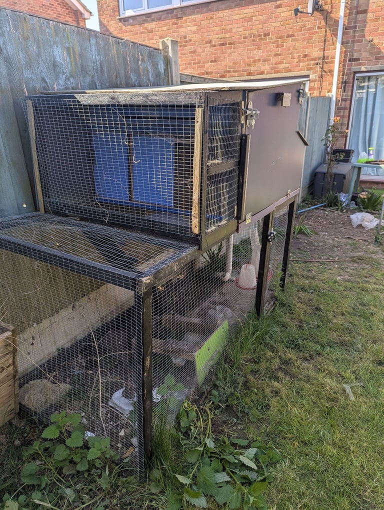 Chicken coop/ house and run