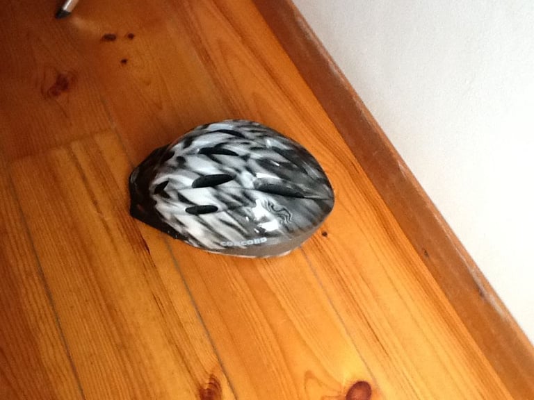Brand new gender free cycle helmet for sale. Beautiful. Yours for just £7.