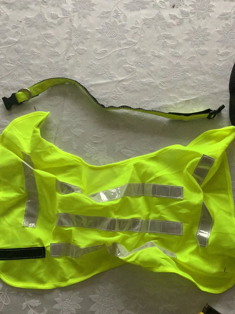 Hi-Viz dog coat and collar size medium 