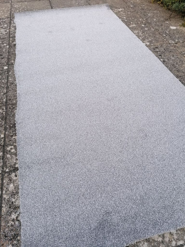 image for Grey Carpet 