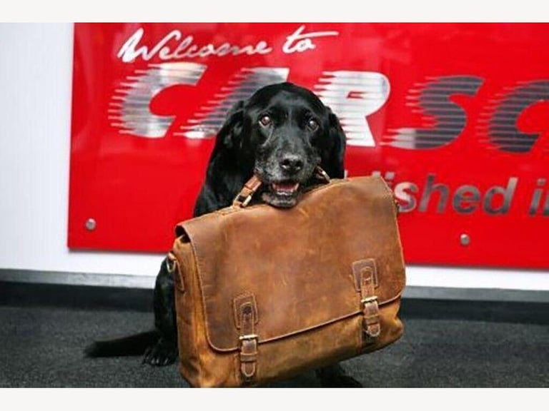 2017 Mercedes-Benz A-Class 2.1 A200d AMG Line (Premium Plus) Euro 6 (s/s) 5dr HATCHBACK Diesel Ma...