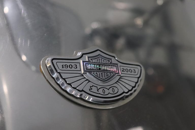 Harley-Davidson VRSCA V-Rod 100th Anniversary