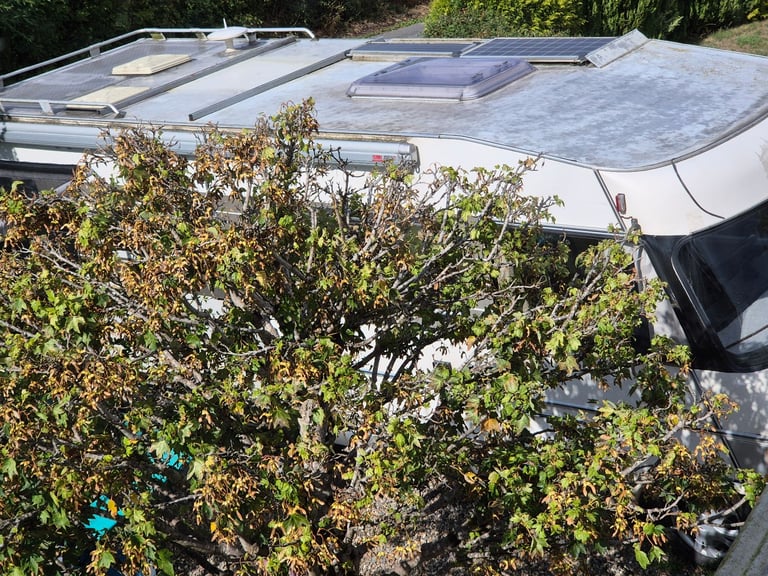 Fiat, 1991, 2500 (cc)