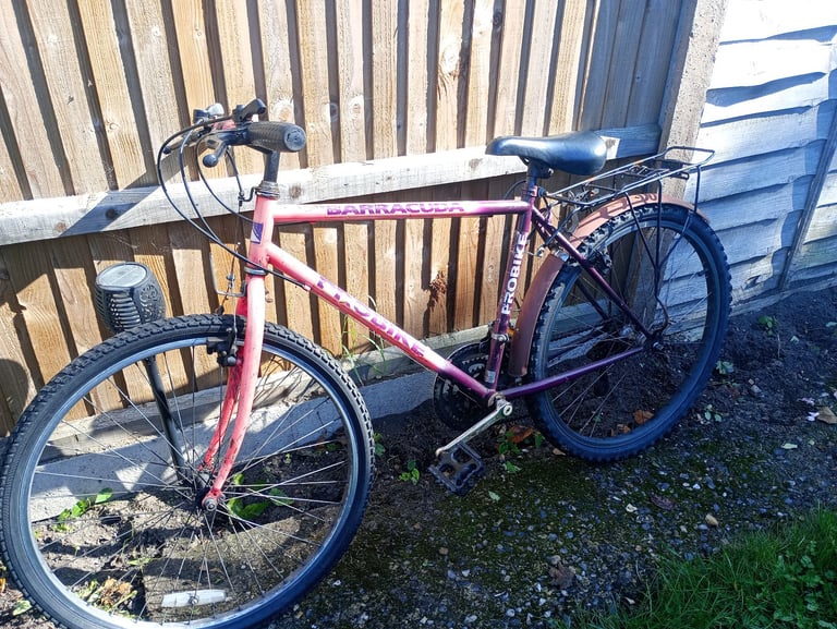Barracuda Push Bike