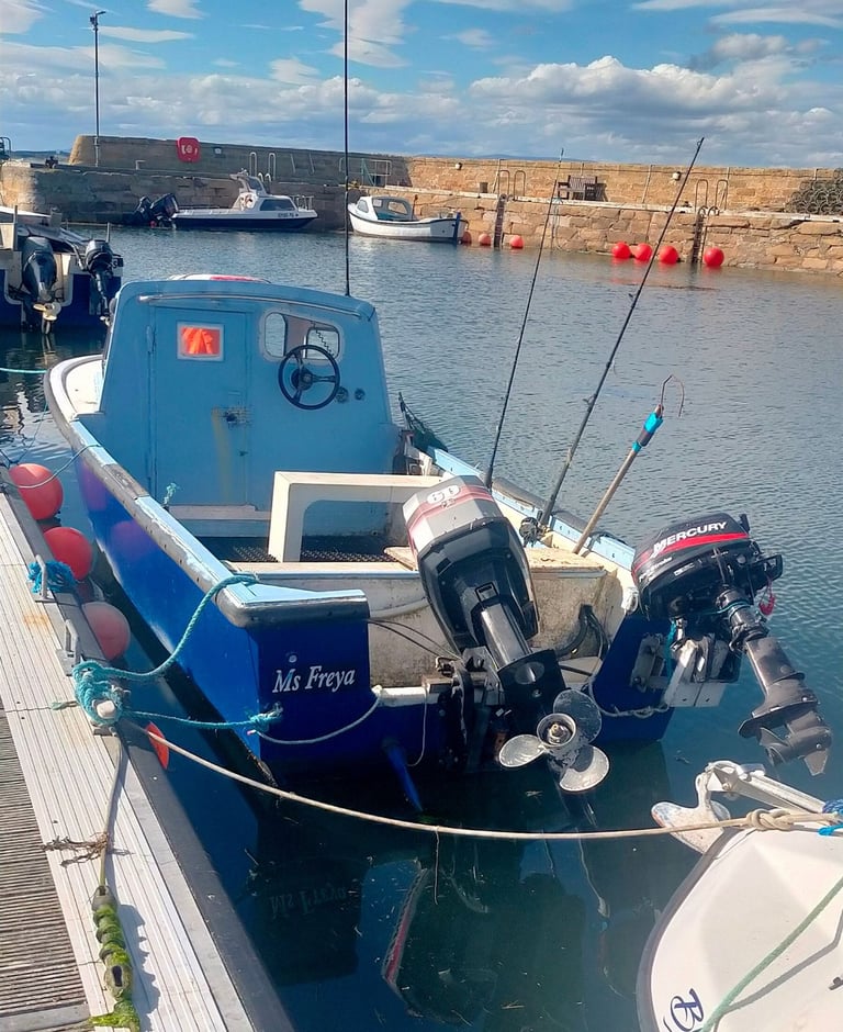 TaskForce 5.8 m Sea Fishing boat with 2 outboards and trailer