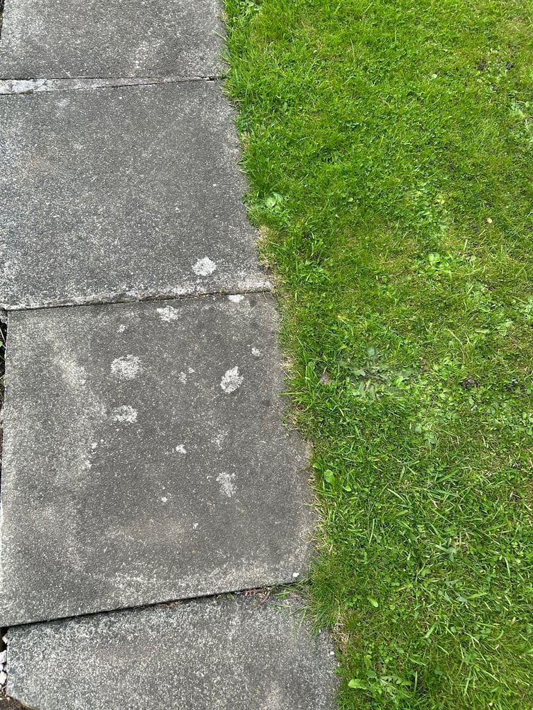Concrete garden slabs - 20 left 