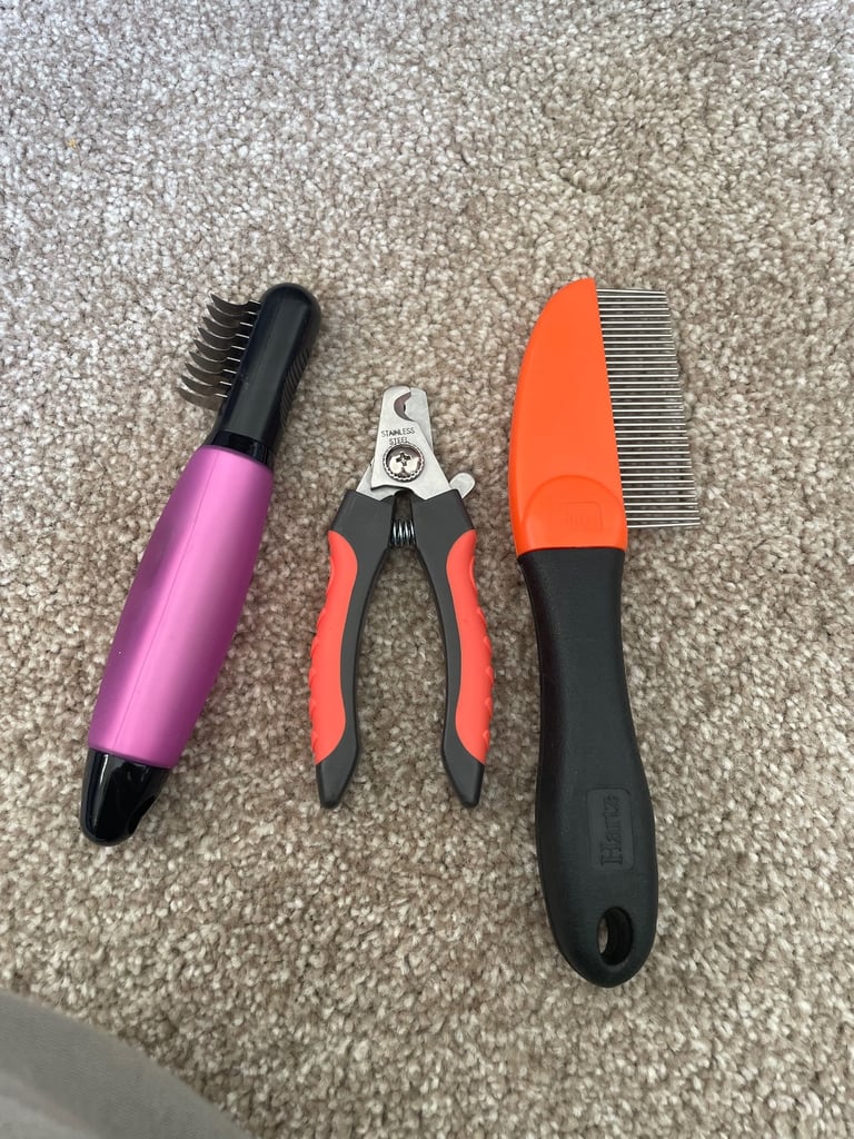 Dog Grooming 