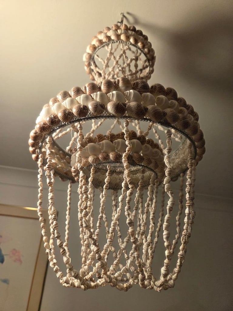 image for Ceiling chandelier made of sea shells 