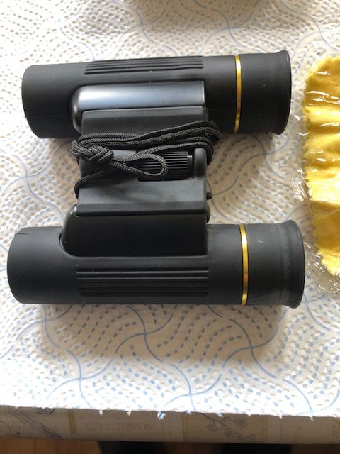 image for 10 x 25 compact bird watching binoculars and cover.