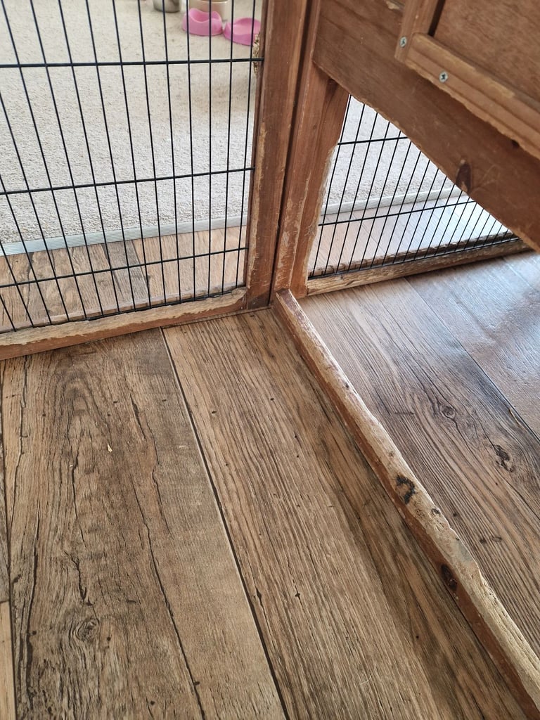 Rabbit hutches, Outside run, Food & Accessories 