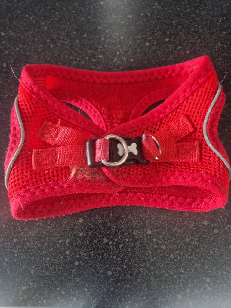 Dog harness 