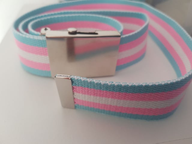 Belt in Guildford, Surrey Gumtree