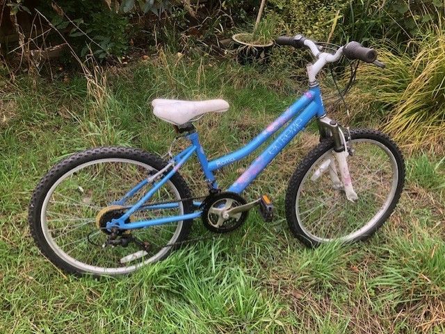 image for Girl's bike with 24 inch wheels. Roma Extreme.