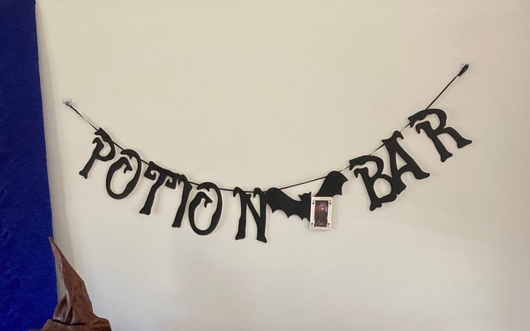 Harry Potter theme decor for Halloween Christmas Birthday Party 