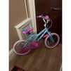 Young girls bike 