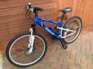 Teenagers 18 speed Apollo Radar mountain bike in excellent condition.