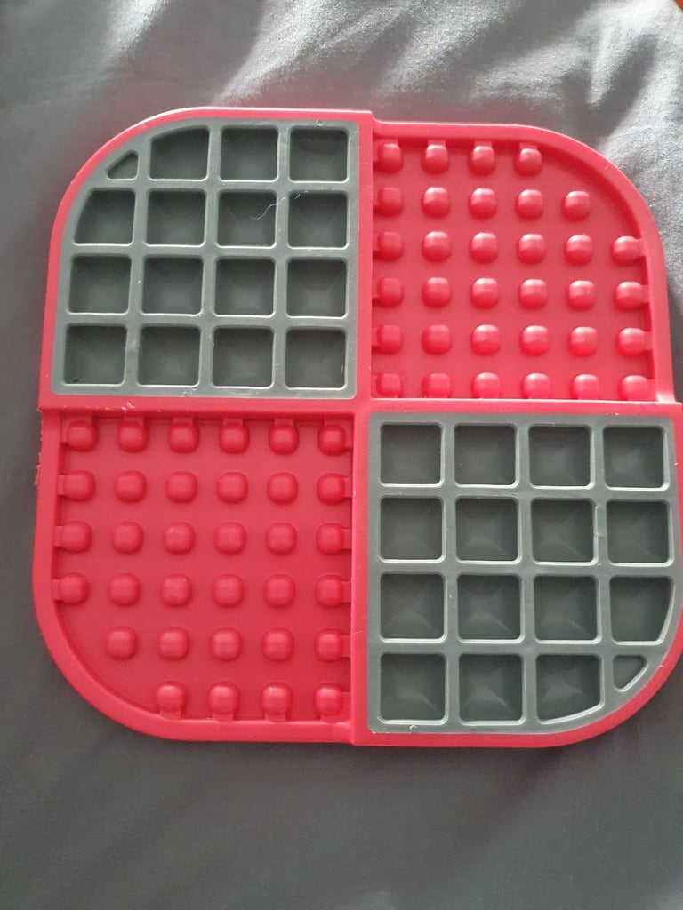 Assorted Dog Training Accessories