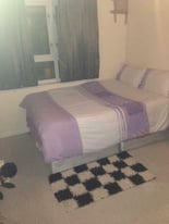 image for Beautiful Double room for female in family house 