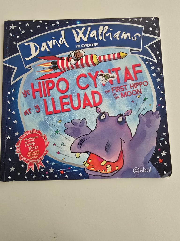 Yr Hipo Cyntaf ar y Lleuad / The First Hippo on the Moon – Welsh Children’s Book