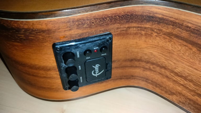 Faith - Guitar and Case Semi Acoustic