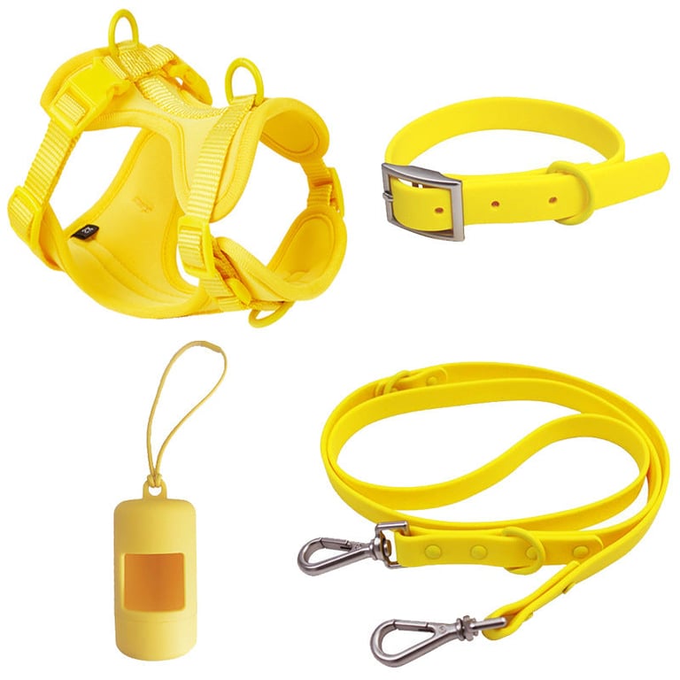 Dog harness walking set 