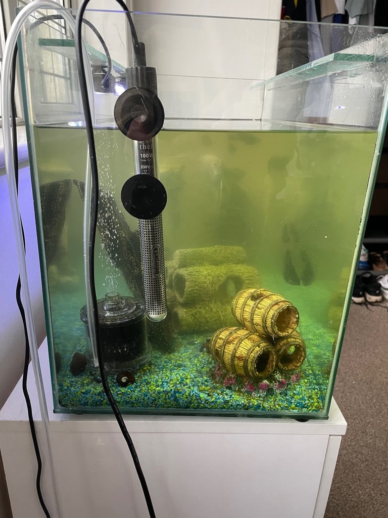 Whole Fish Setup With Fish