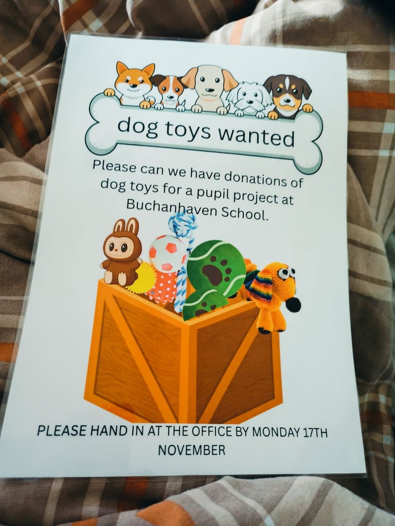 image for Wanted dog toys
