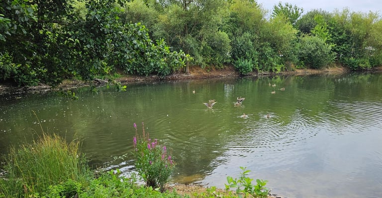 WILLERBY SALISBURY 35 x 12 Site Fees for 2026 included in price