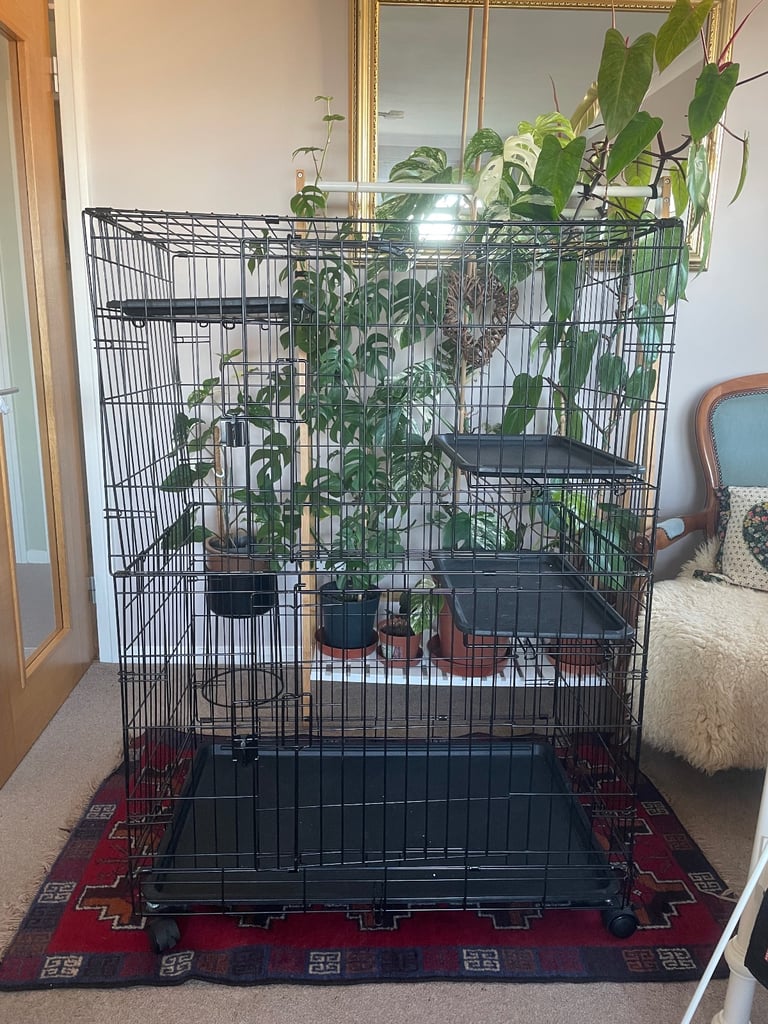 Large animal cage 