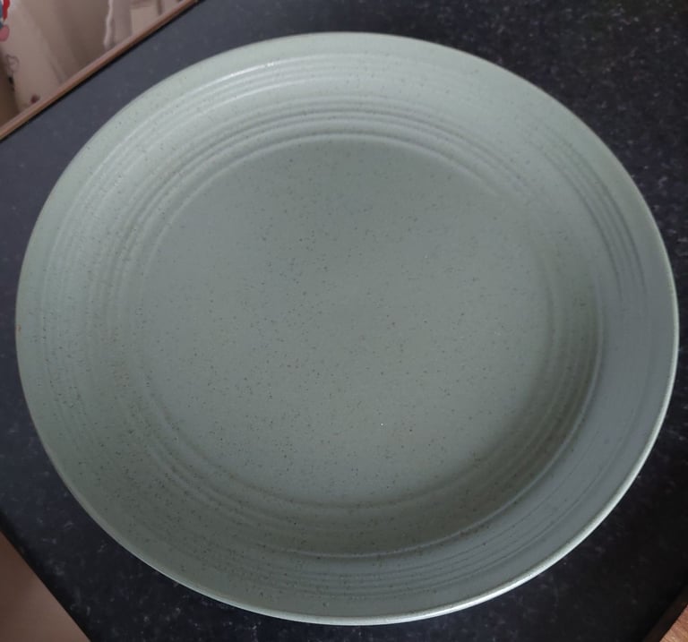 image for WANTED Habitat Ripple Dinner Plates in Sage