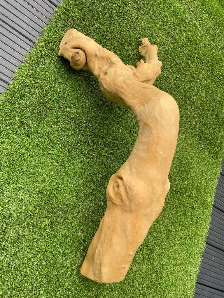 Java wooden branch