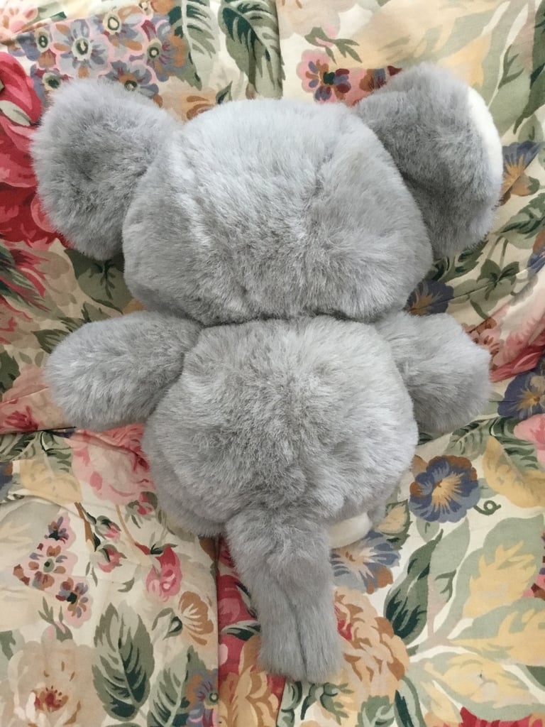 image for Teddy 
