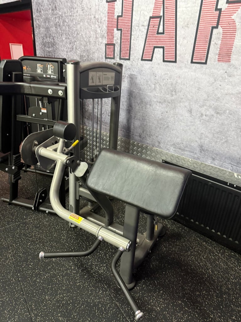 Seated bicep curl 