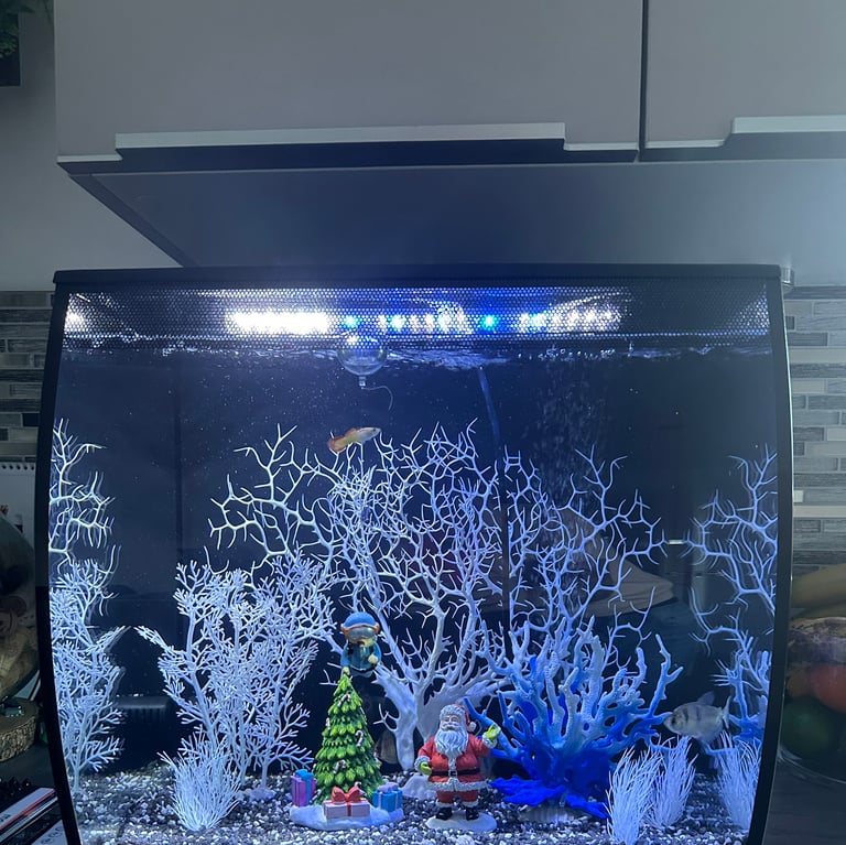 Second-Hand Aquariums for Sale in Glasgow | Gumtree