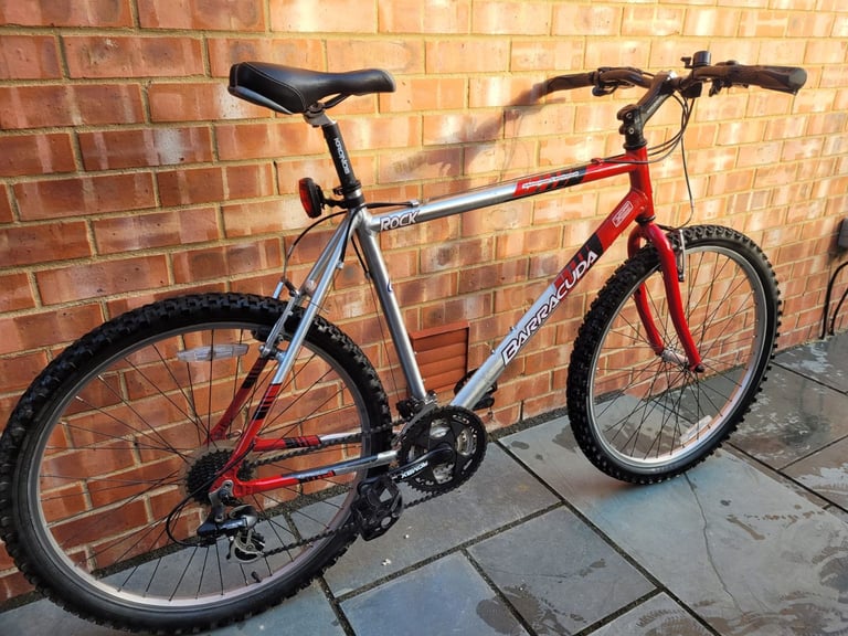 Mountain Bike