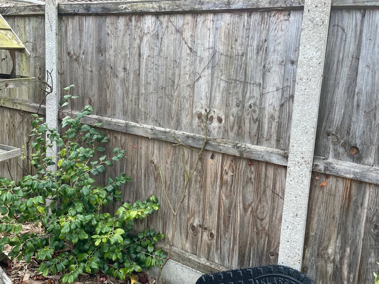 Fence panels 